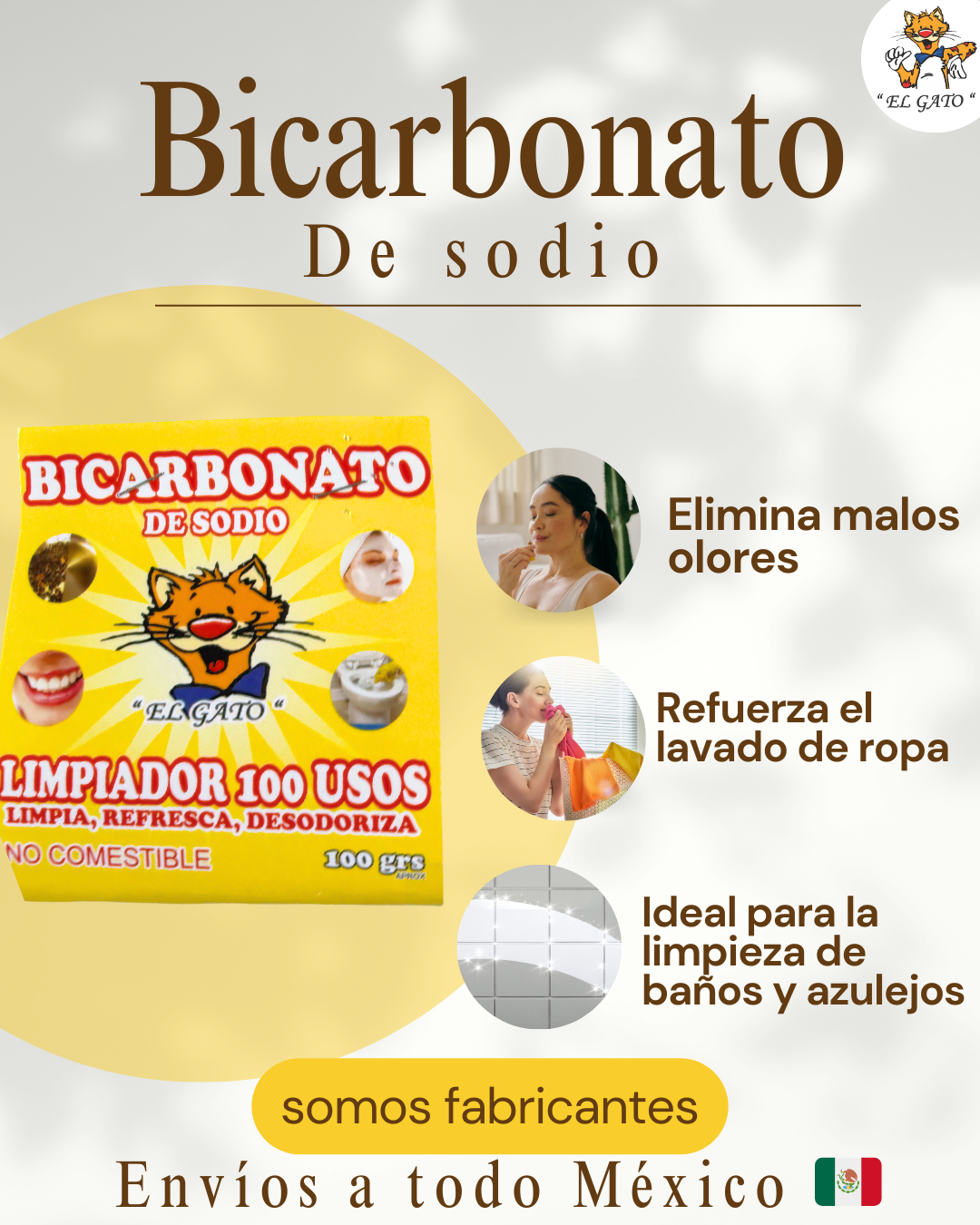 Bicarbonato 100Gr